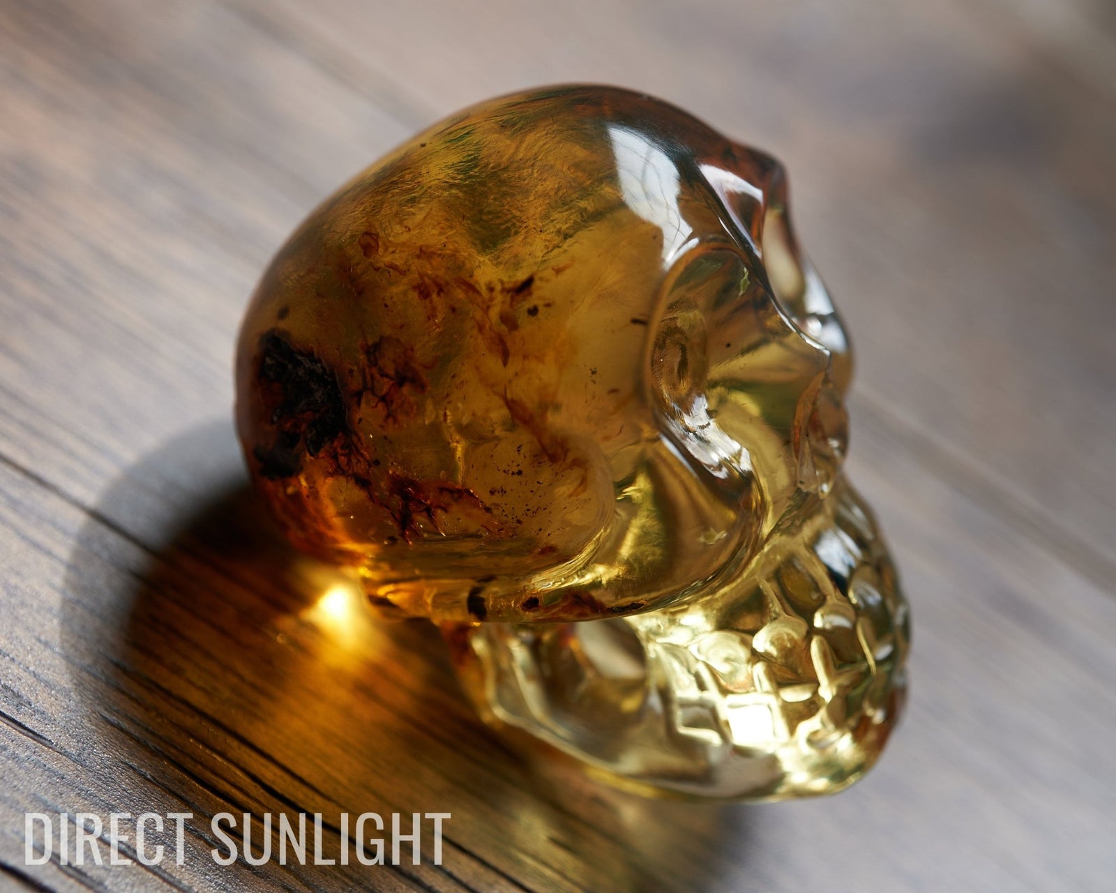 Authentic Dominican Green Amber Hand-Carved Skull - Unique & Stunning Collectible! - Larimar Creations