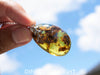 Authentic Dominican Amber Pendant – Handcrafted Jewelry with Rare Blue Glow