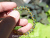 Blue AMber Bracelet Dominican