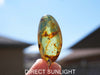 Large blue amber pendant featuring a natural cabochon amber set in sterling silver, showcasing rare Dominican blue hues