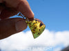 Dominican raw blue amber cabochon glistening in sunlight