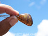 Blue Amber Dominican raw cabochon gemstone with natural vibrant hues