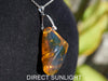 Rare fossilized Dominican amber gemstone with blue tones under natural light