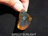 Blue Amber Dominican raw cabochon gemstone with natural vibrant hues