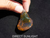 Blue Amber Dominican raw cabochon gemstone with natural vibrant hues