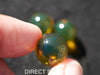 Blue Green Amber Beads bundle set of Qty. 3 Dominican Amber SET #3