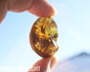 dominican blue amber