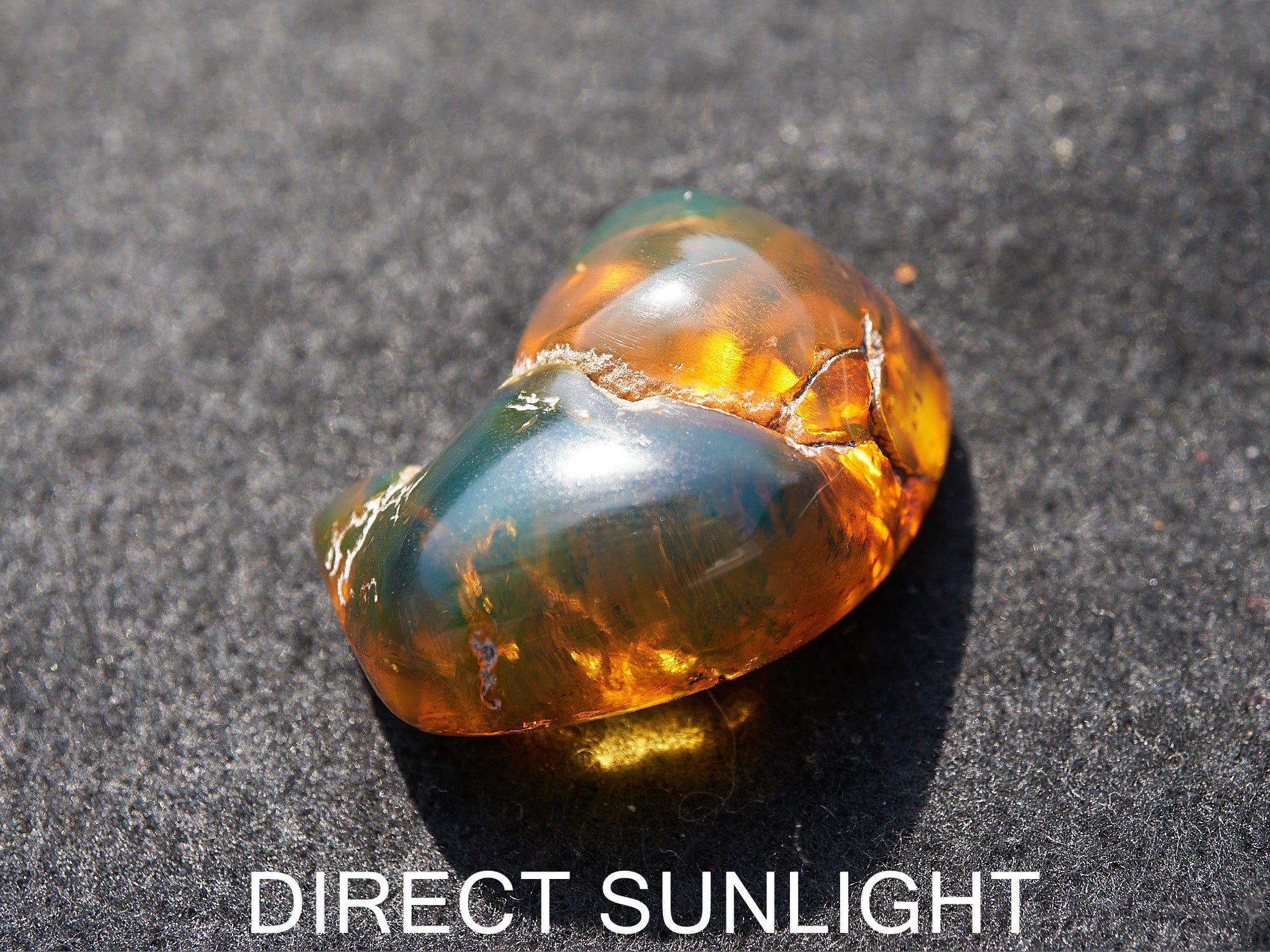 Dominican orders Amber Cabochon