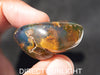 Authentic Blue Amber Dominican Cabochon Polished