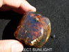 Blue Amber Dominican cabochon one side polished