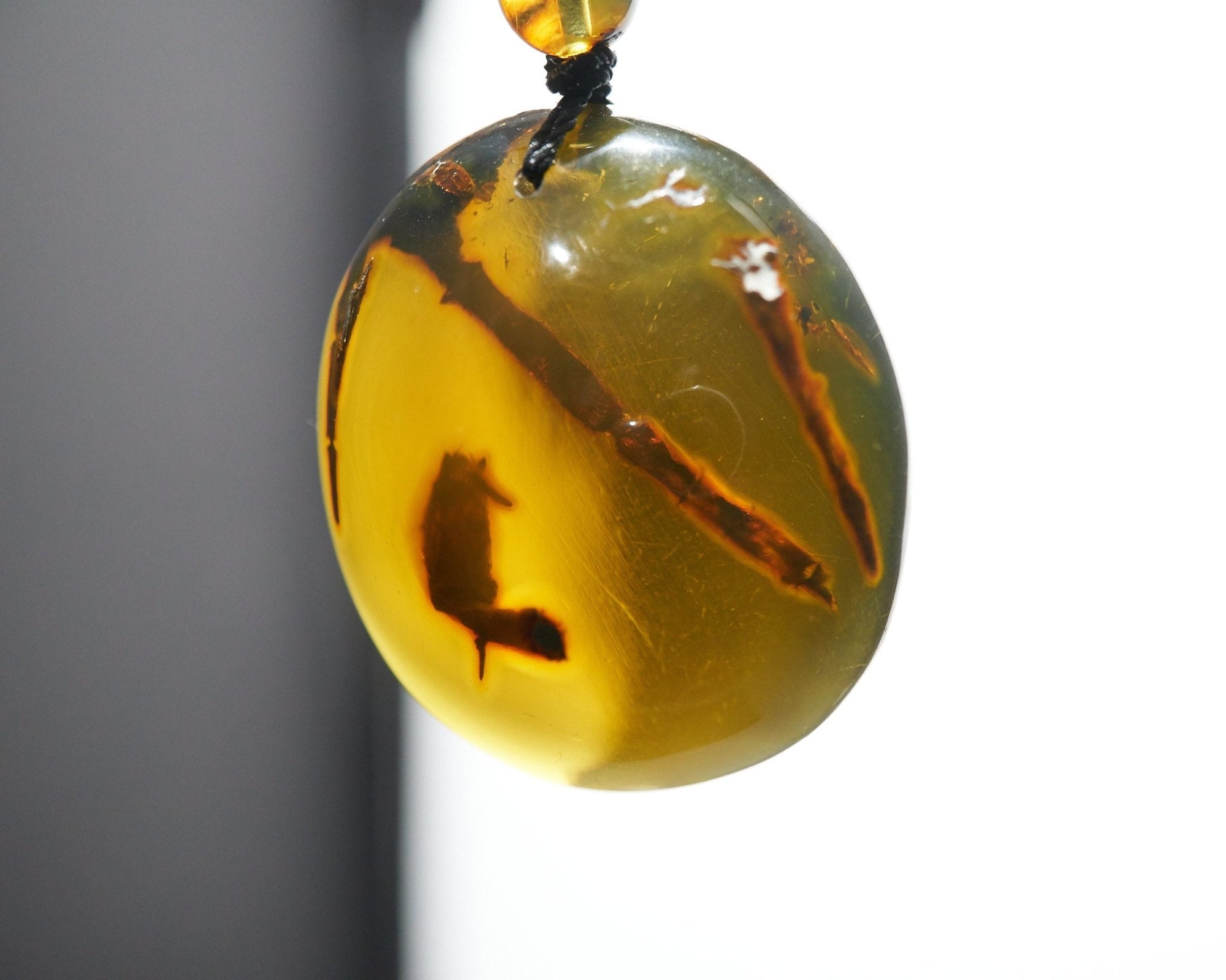 Authentic Dominican Green/Blue Amber with Vegetable Fossil - Larimar Creations