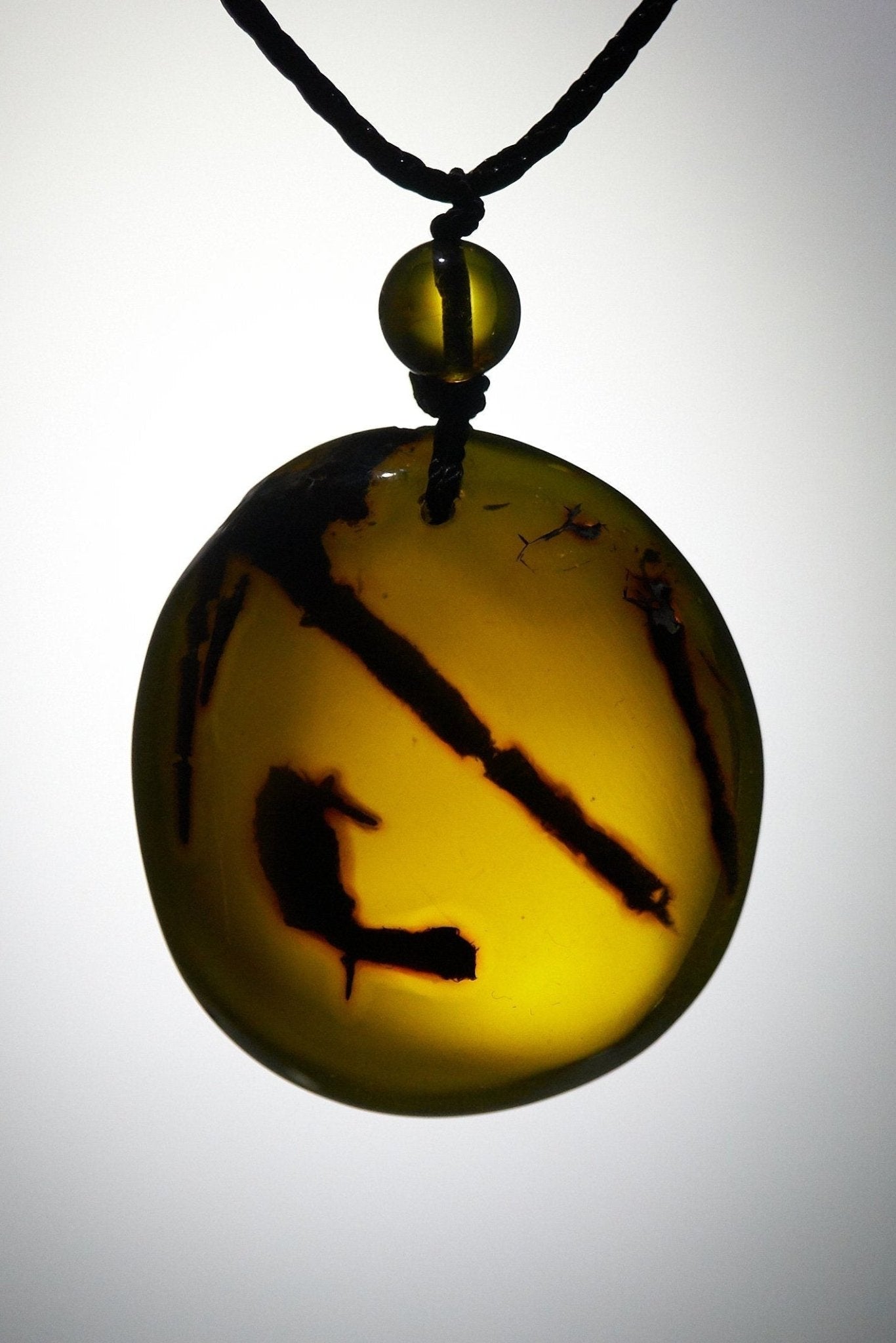 Authentic Dominican Green/Blue Amber with Vegetable Fossil - Larimar Creations