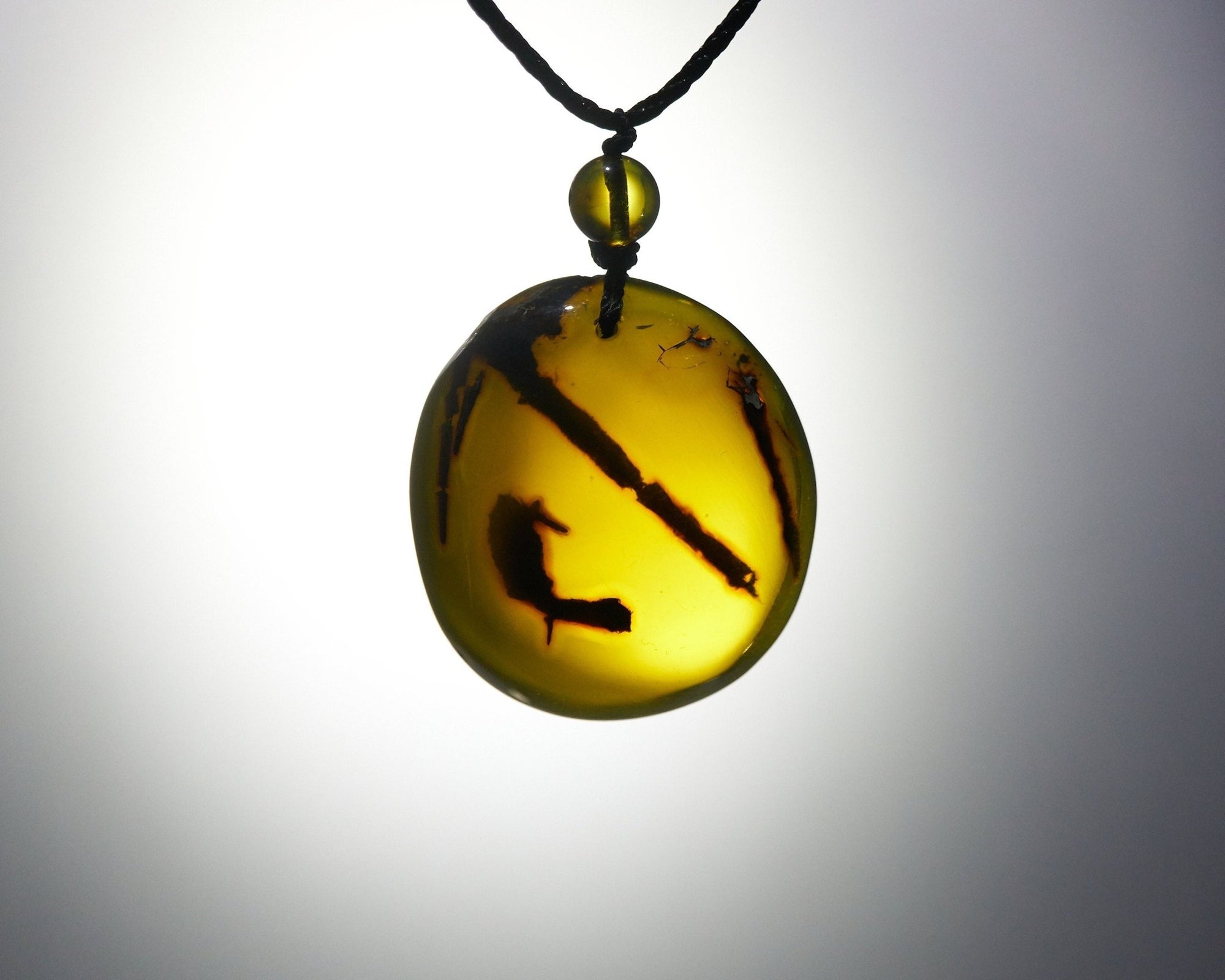 Authentic Dominican Green/Blue Amber with Vegetable Fossil - Larimar Creations