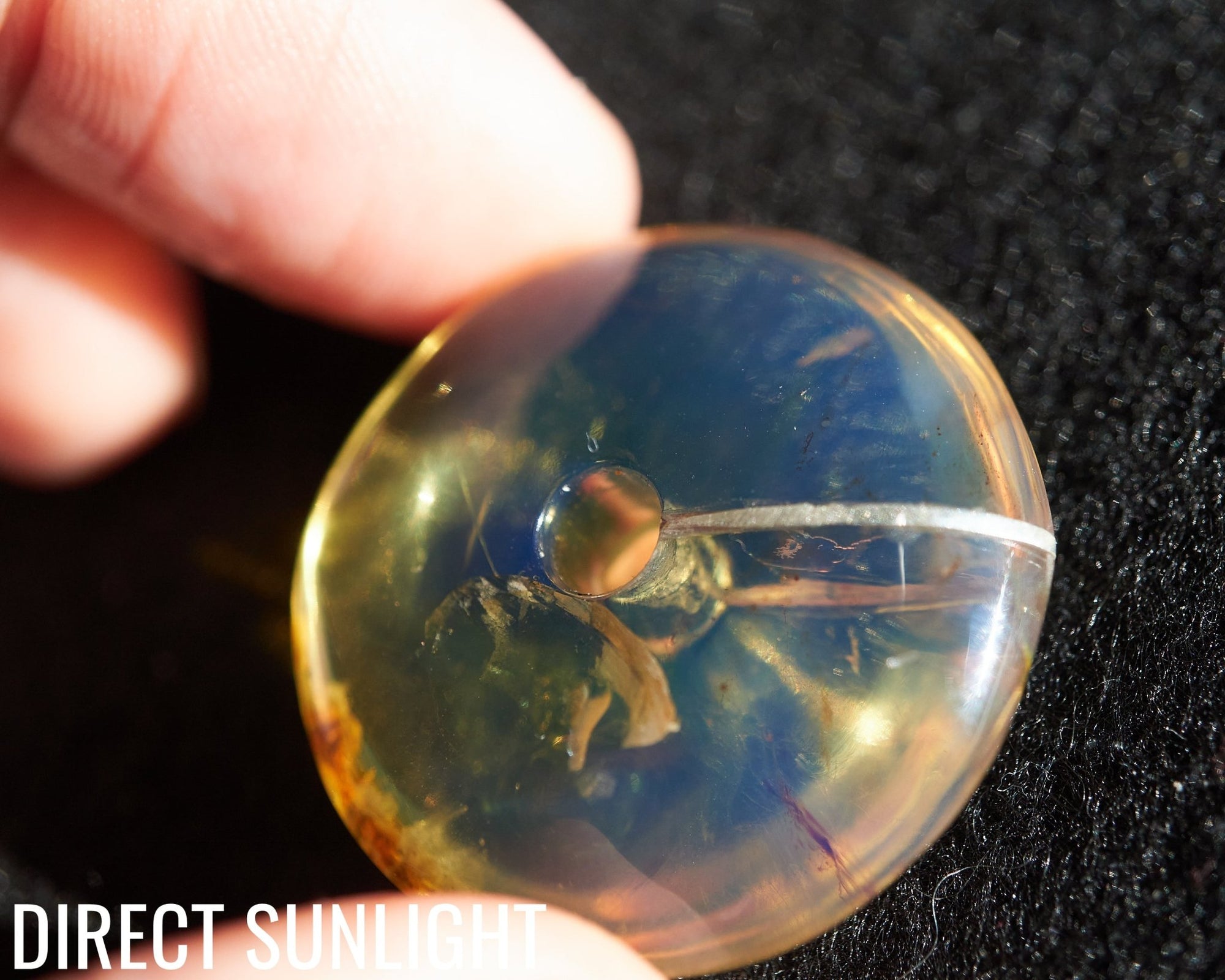 Blue Amber Donut Dominican