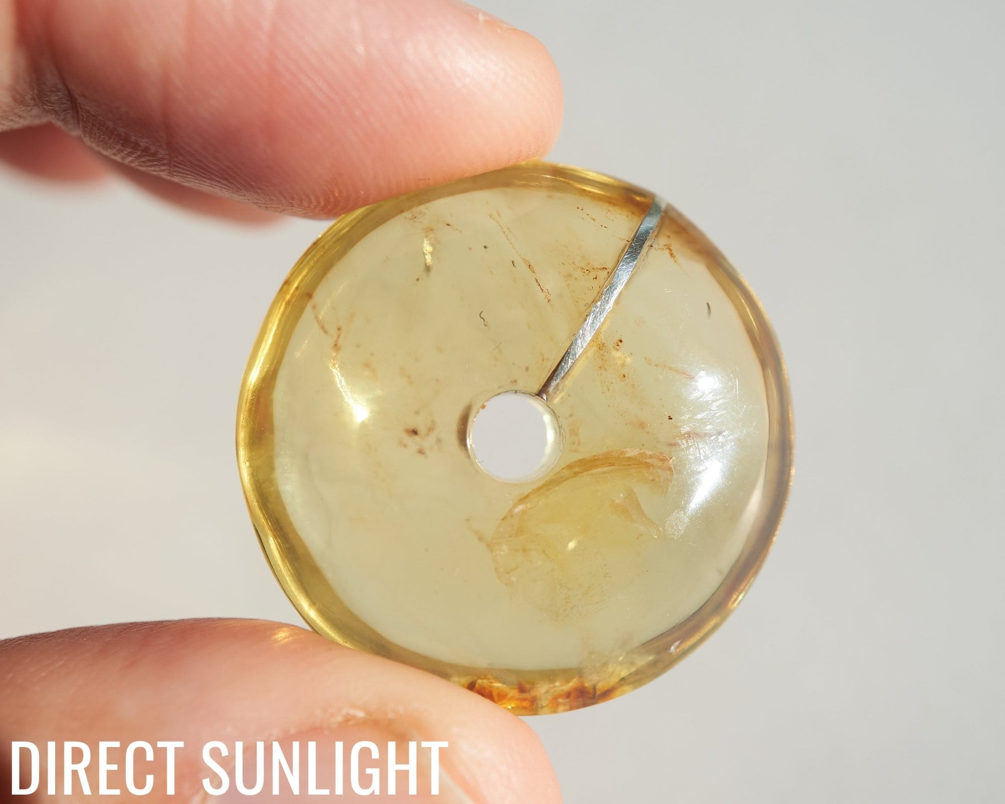 Blue Amber Dominican Donut