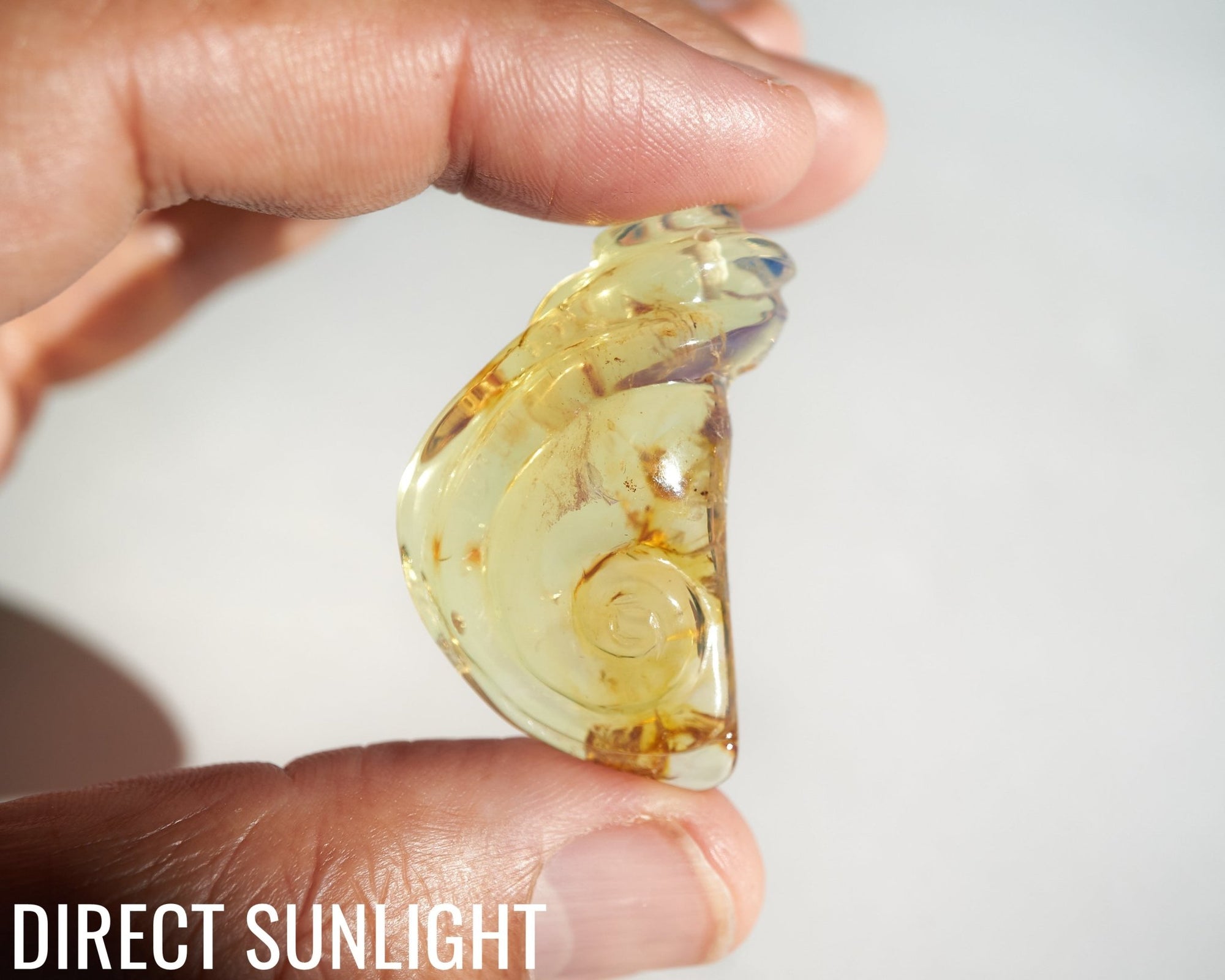 Blue Amber Dominican Pendant Necklace snail shape carving - Larimar Creations