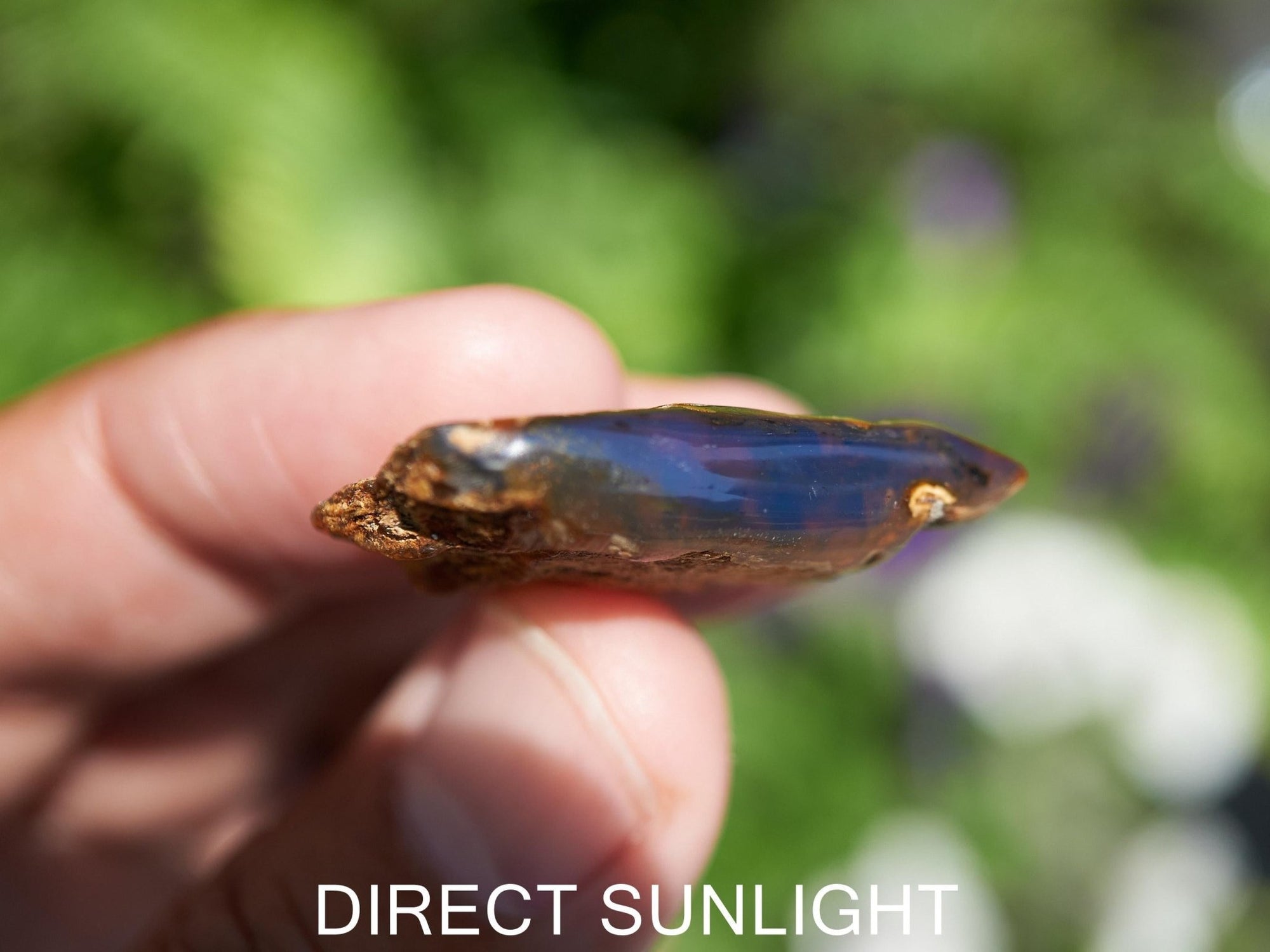 Blue Amber Dominican / blue amber raw natural / blue amber rough top polished stone natural shape cabochon