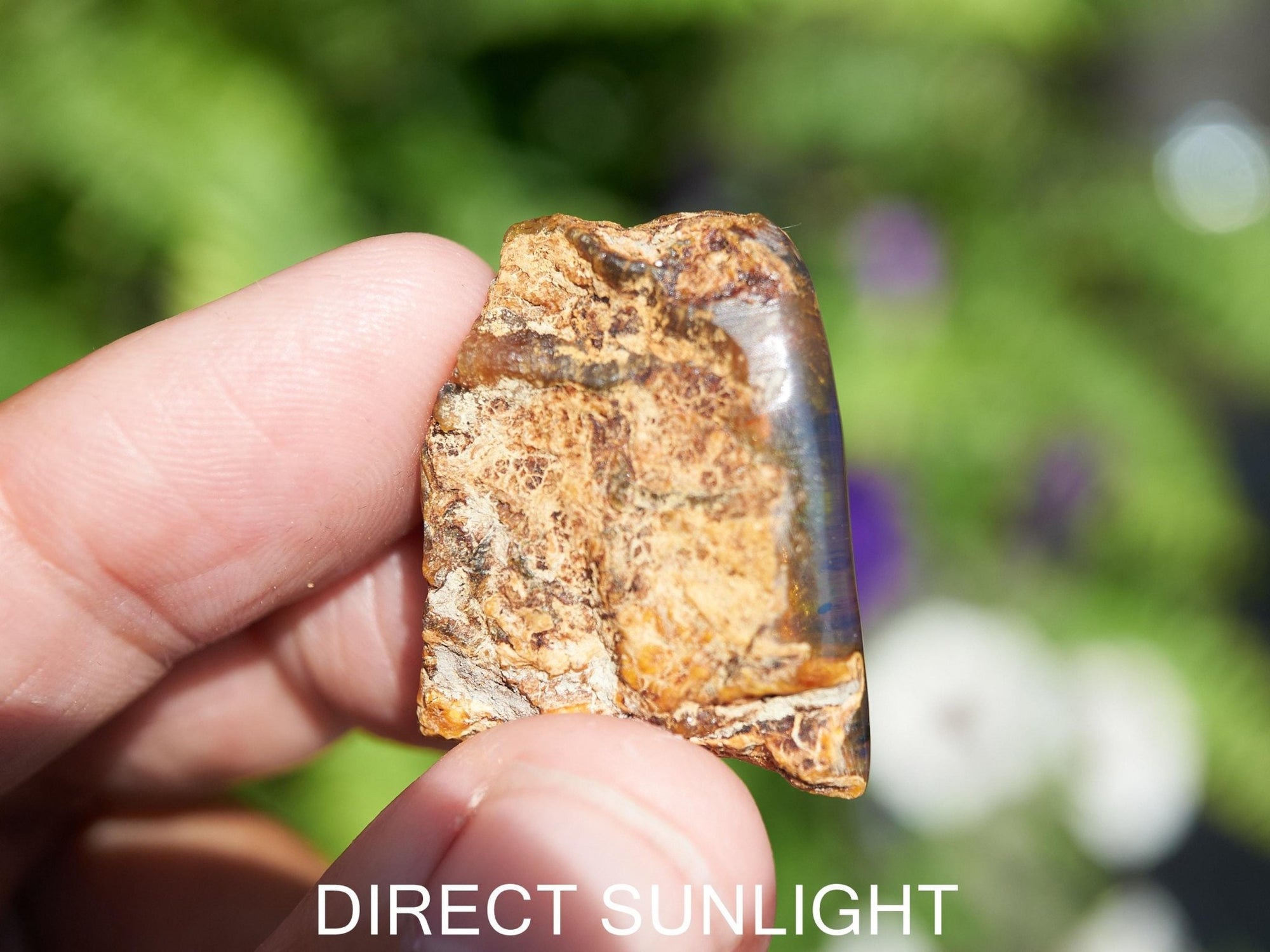 Blue Amber Dominican / blue amber raw natural / blue amber rough top polished stone natural shape cabochon