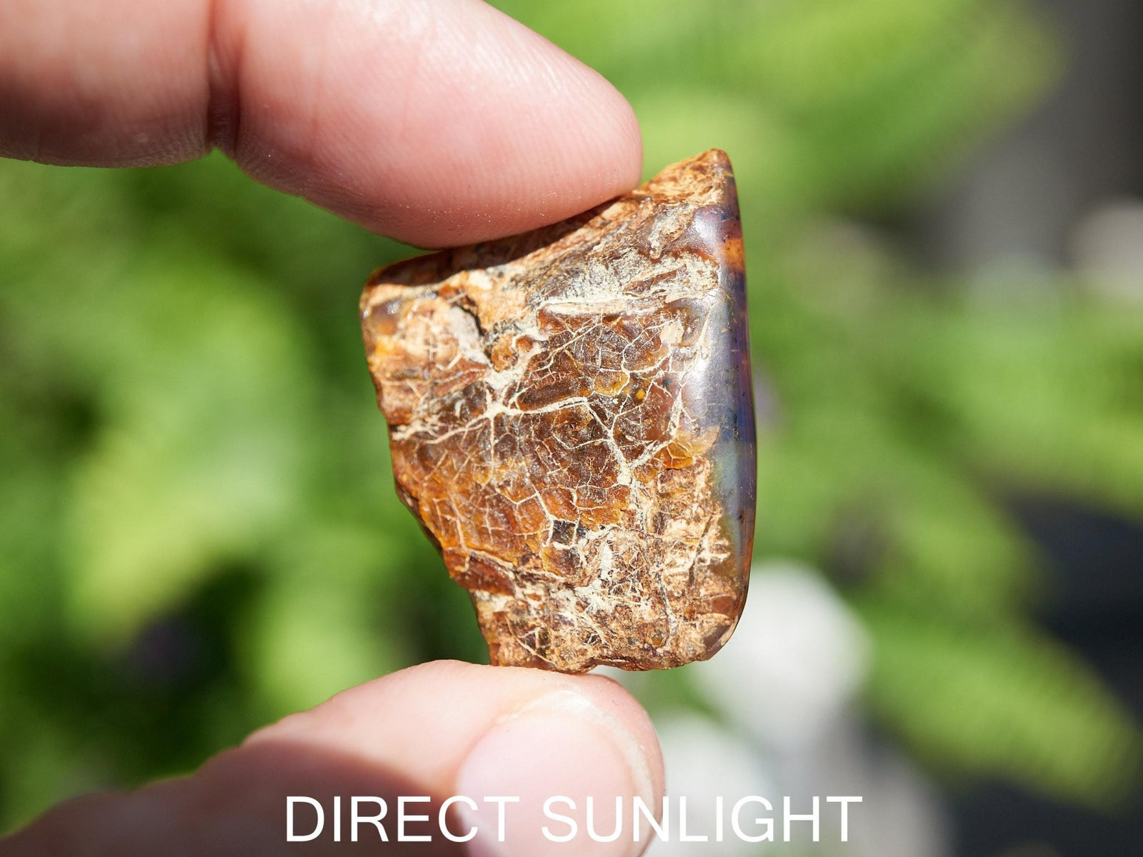 Blue Amber Dominican / blue amber raw natural / blue amber rough top polished stone natural shape cabochon