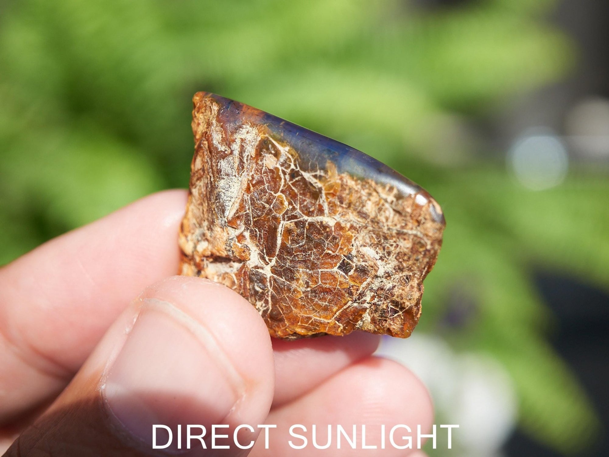 Blue Amber Dominican / blue amber raw natural / blue amber rough top polished stone natural shape cabochon