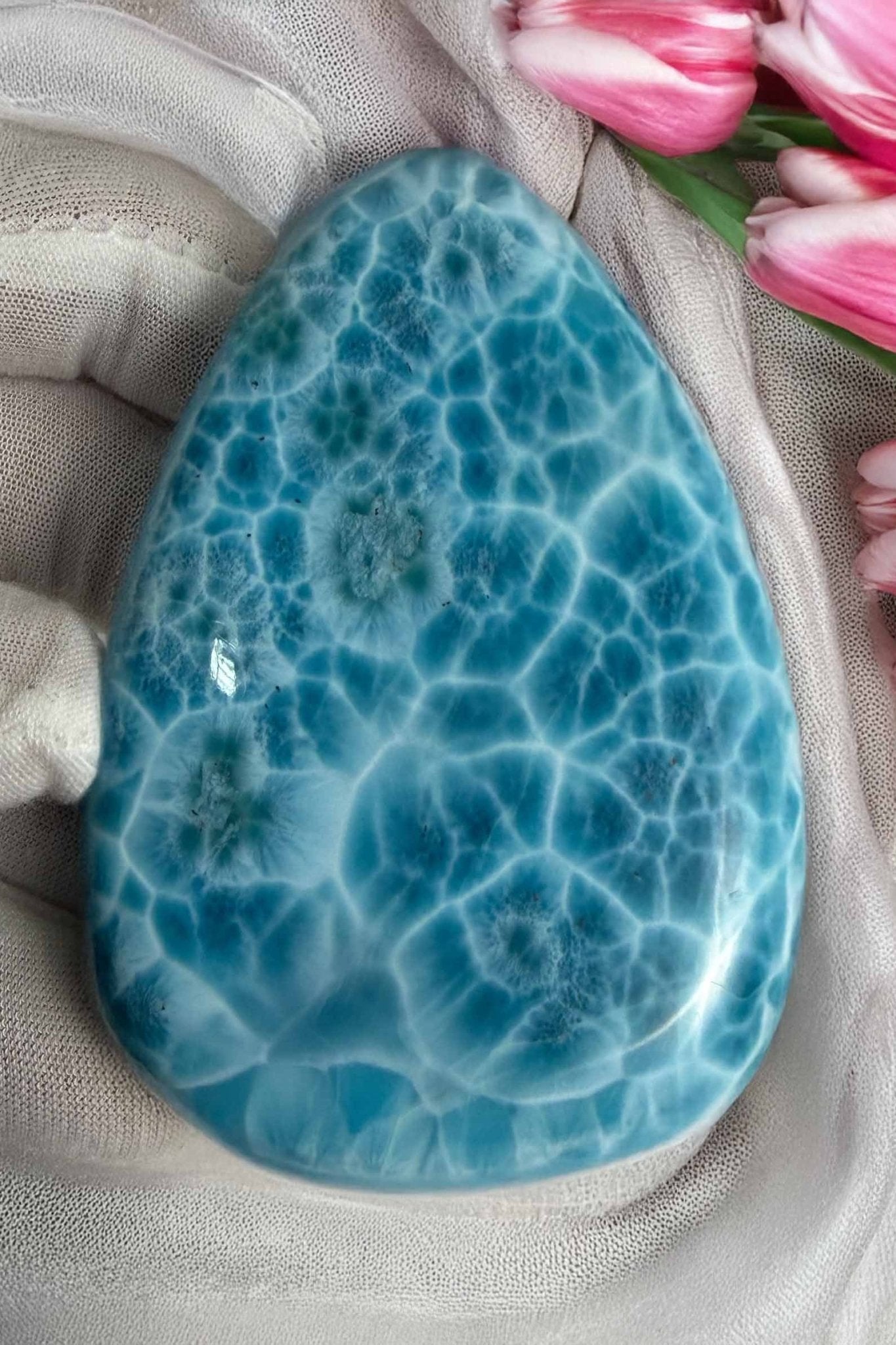 Collector - Grade Larimar Specimen | Ultra High Quality Dominican Stone - Larimar Creations