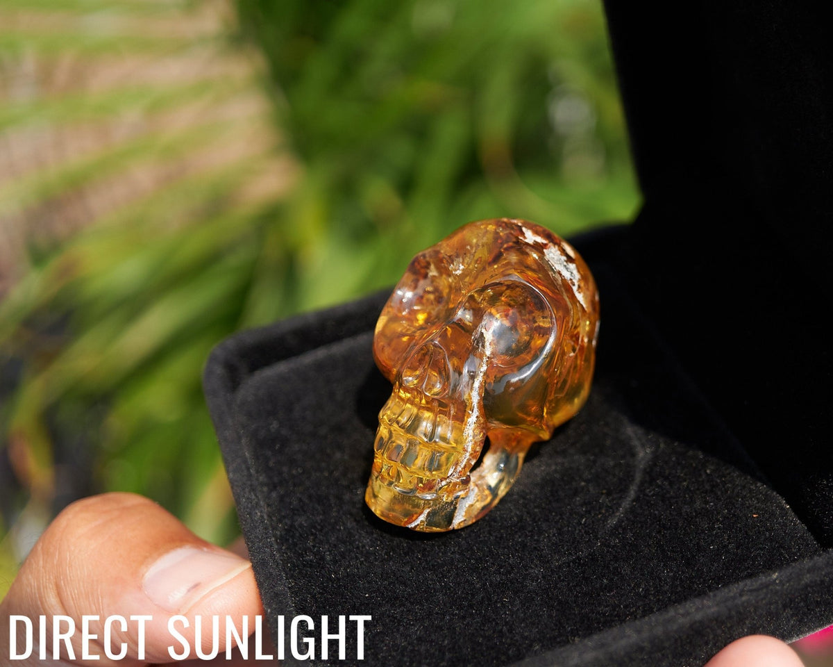 Dominican Amber Skull Carving - Authentic Green Amber - Larimar Creations