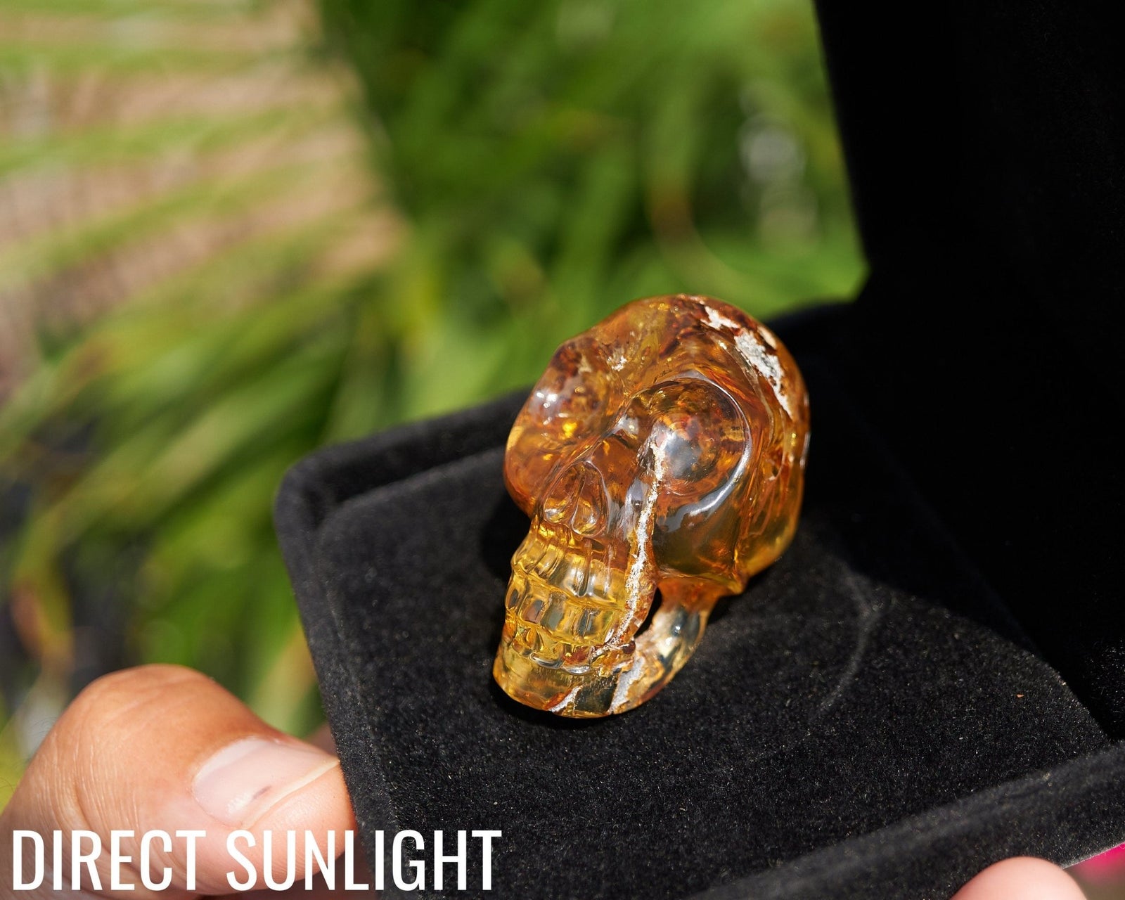 Dominican Amber Skull Carving - Authentic Green Amber - Larimar Creations