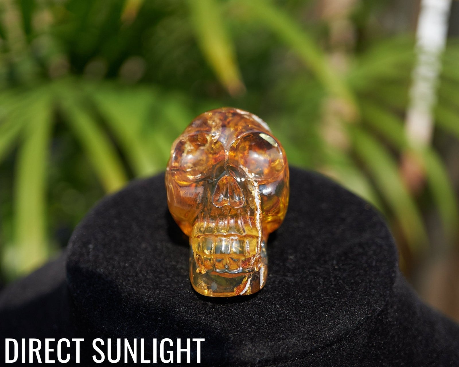 Dominican Amber Skull Carving - Authentic Green Amber - Larimar Creations