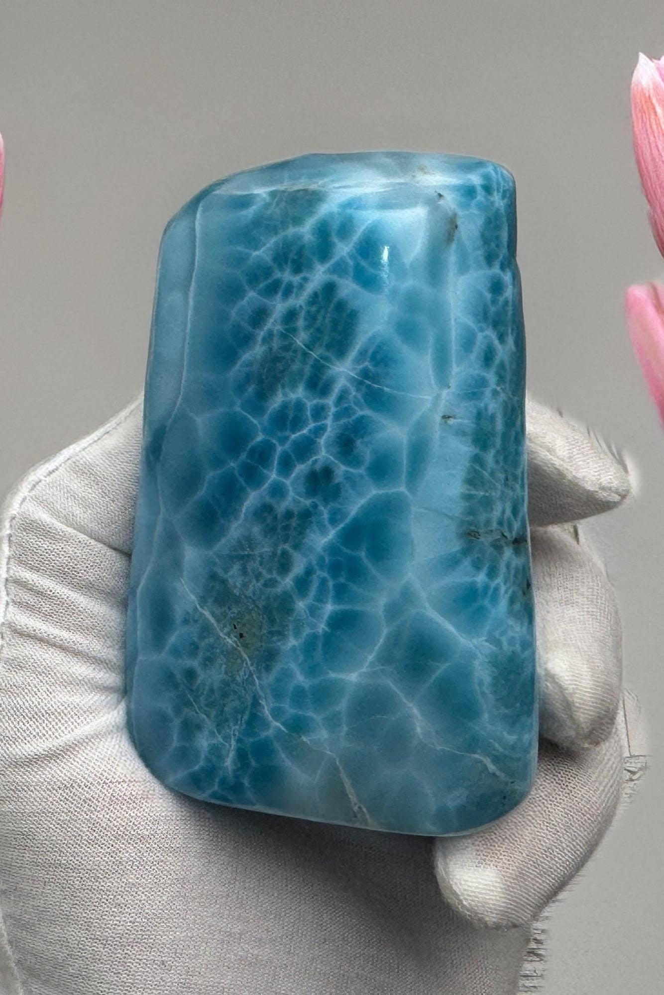 Larimar Cabochon Collector's Museum - Grade 367g - Larimar Creations