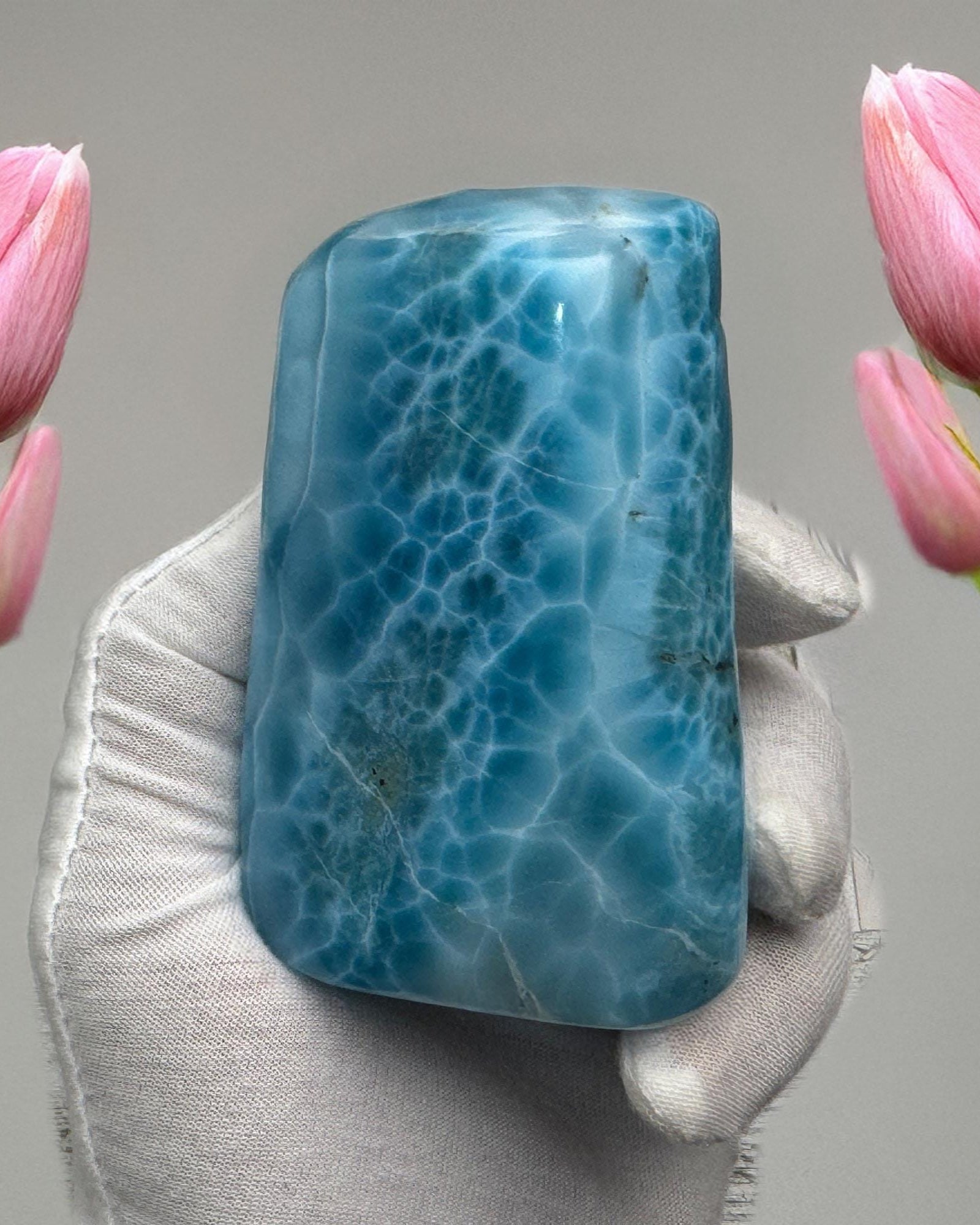 Larimar Cabochon Collector's Museum - Grade 367g - Larimar Creations