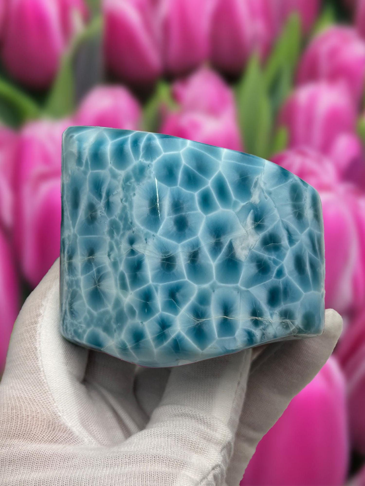 Larimar Large Cabochon Blue Atlantis Stone, High - Grade Gemstone Collectors - Larimar Creations