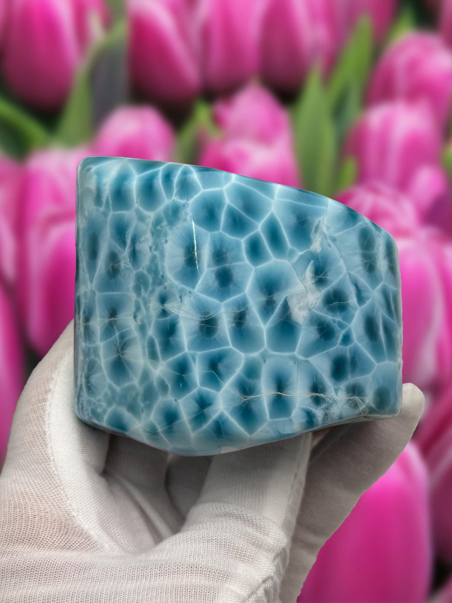 Larimar Large Cabochon Blue Atlantis Stone, High - Grade Gemstone Collectors - Larimar Creations