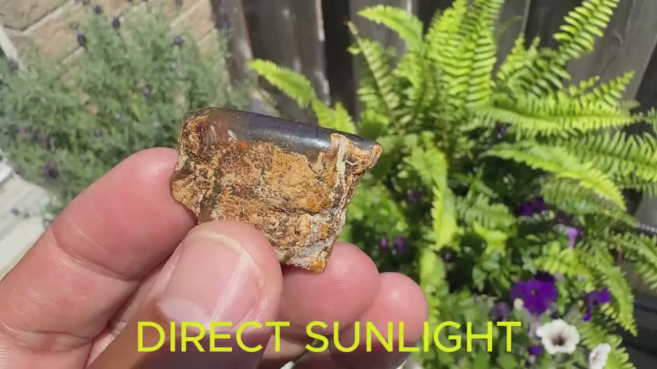 Blue Amber Dominican / blue amber raw natural / blue amber rough top polished stone natural shape cabochon
