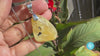Dominican Blue Amber Pendant: Round Sterling Silver Gemstone