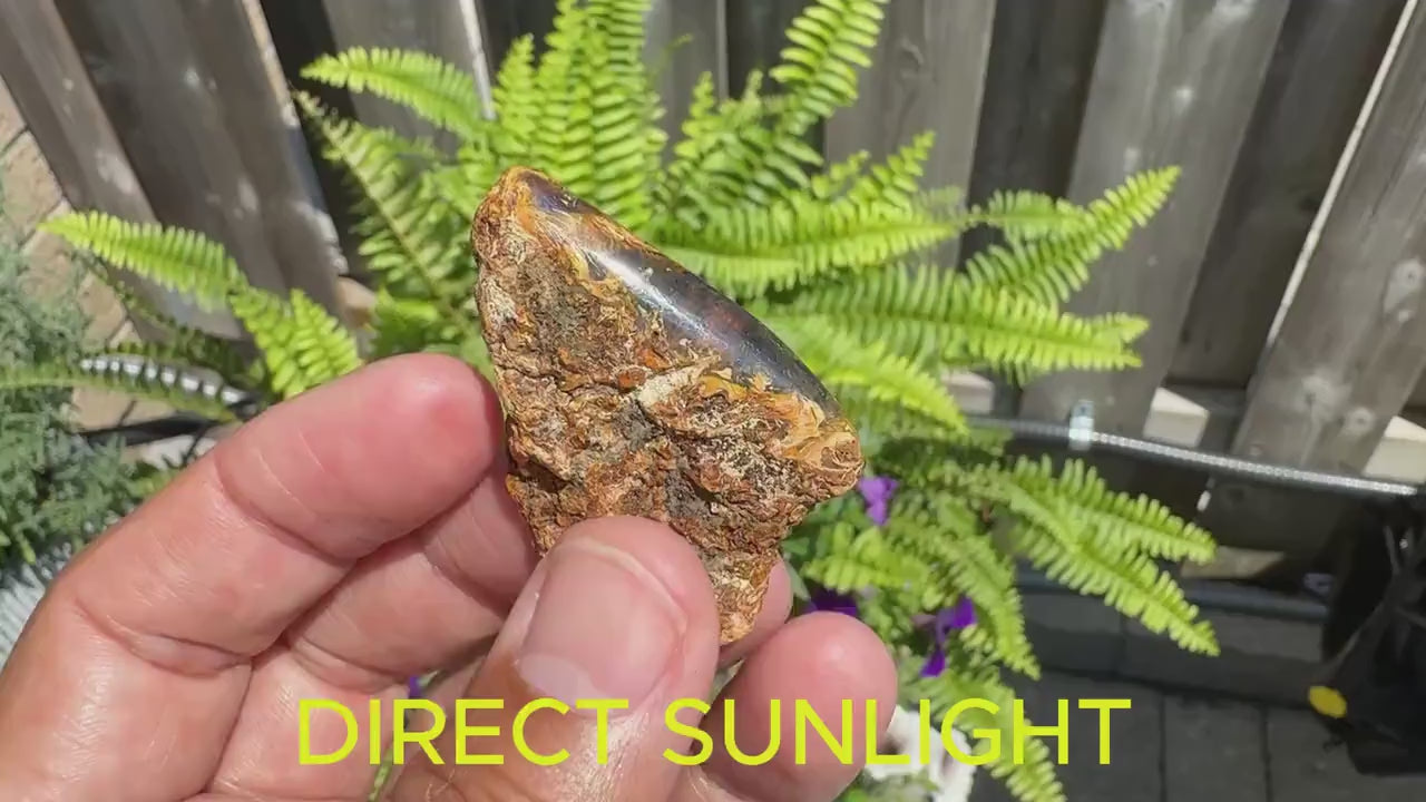 Blue Amber Dominican / blue amber raw natural / blue amber rough full polished stone natural shape cabochon