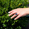 Blue Amber Ring, Hadara