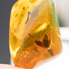 Dominican Green Amber Fossil Flower