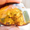 Dominican Green Amber Fossil Insects Wings
