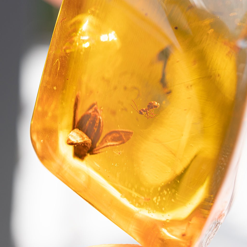 Dominican Green Amber Fossil Flower