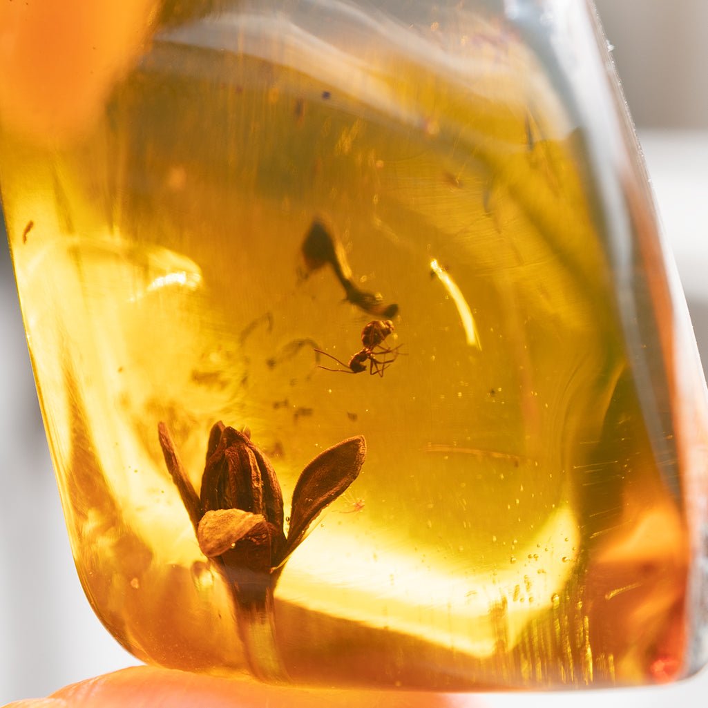 Dominican Green Amber Fossil Flower