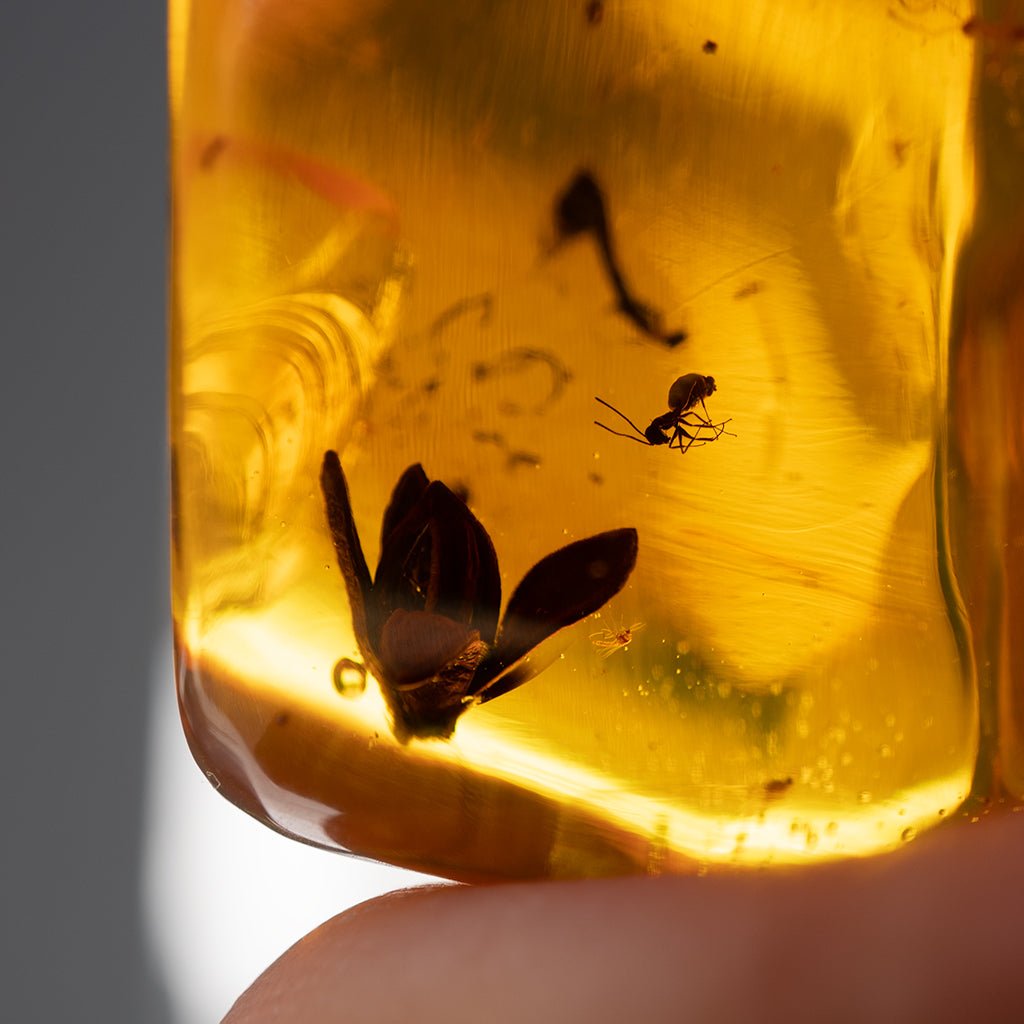 Dominican Green Amber Fossil Flower
