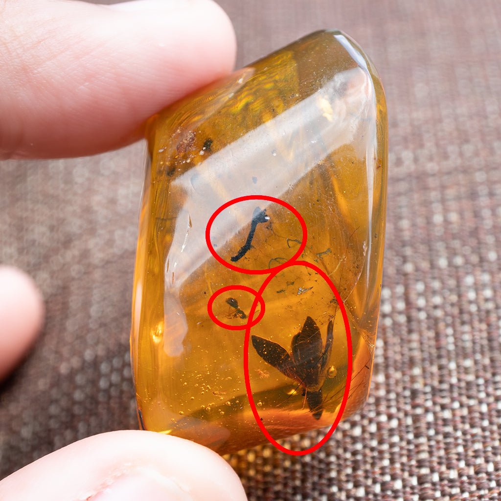 Dominican Green Amber Fossil Flower