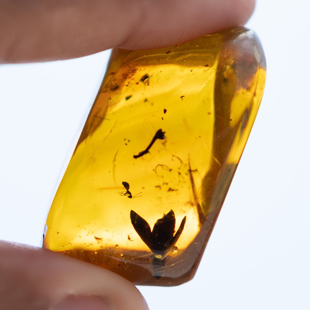 Dominican Green Amber Fossil Flower