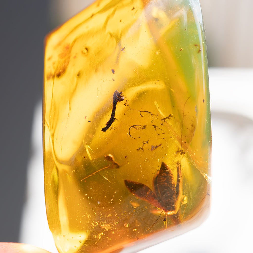Dominican Green Amber Fossil Flower