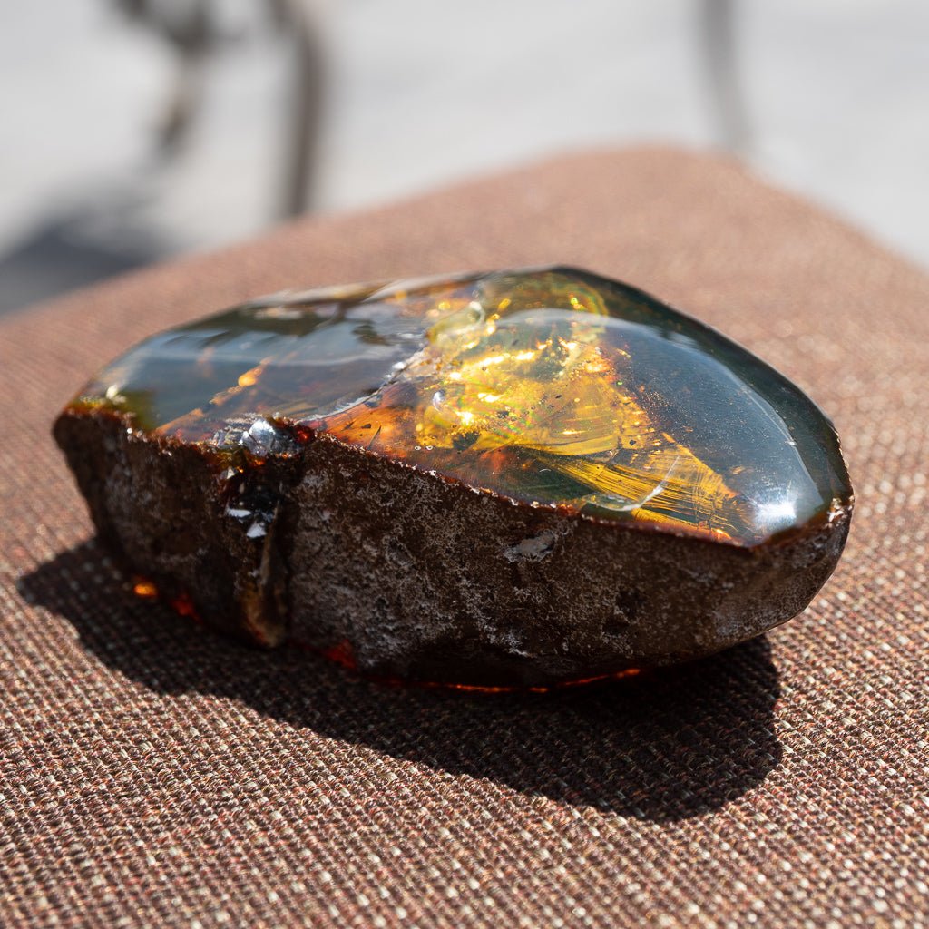 Dominican Green Amber Fossil Insects Wings