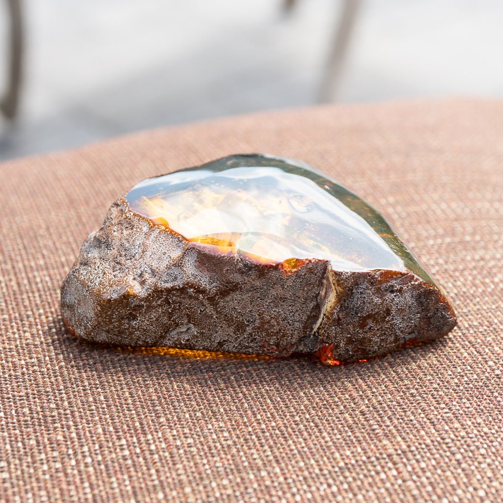 Dominican Green Amber Fossil Insects Wings