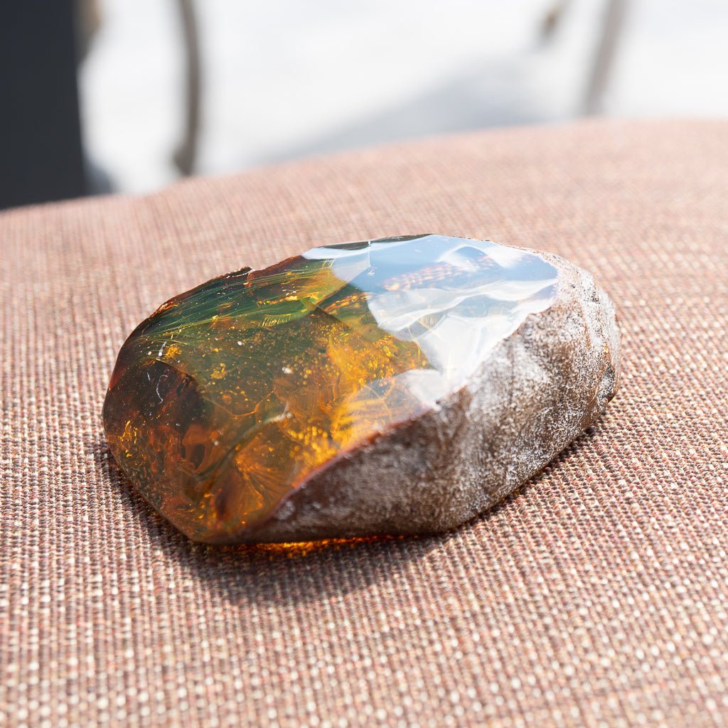 Dominican Green Amber Fossil Insects Wings