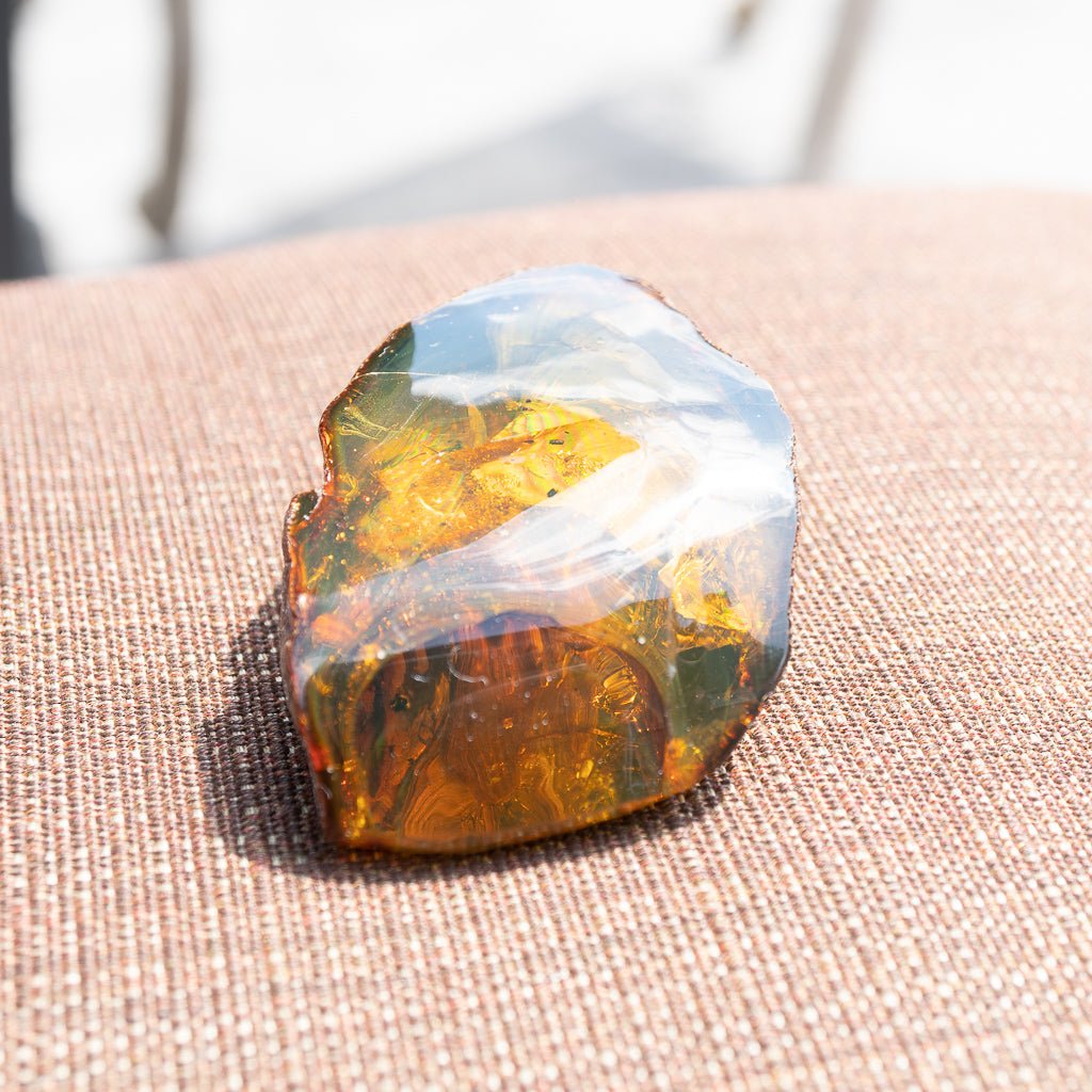 Dominican Green Amber Fossil Insects Wings