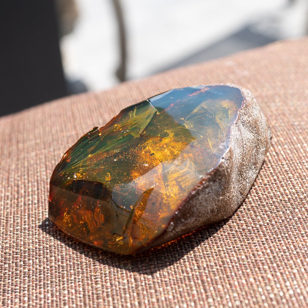 Dominican Green Amber Fossil Insects Wings