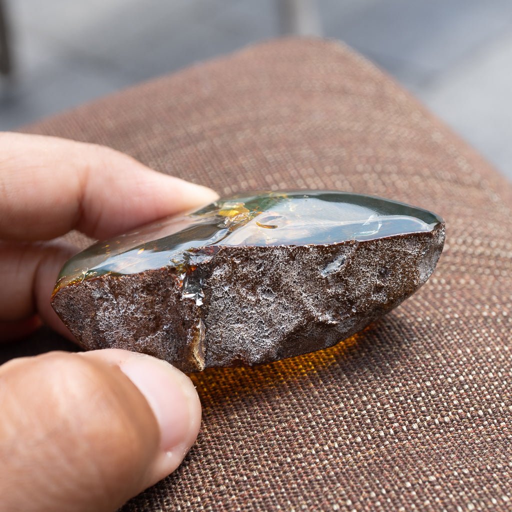Dominican Green Amber Fossil Insects Wings